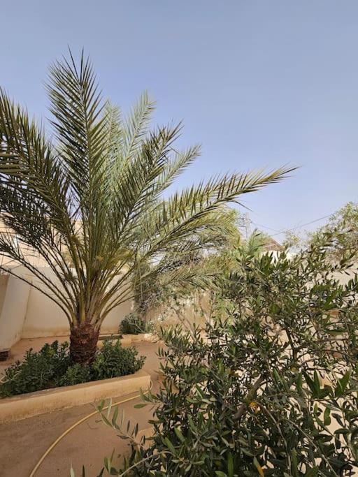 Hadhri Appartement Tozeur Luaran gambar