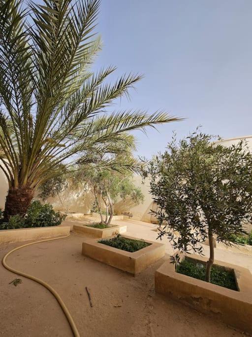 Hadhri Appartement Tozeur Luaran gambar